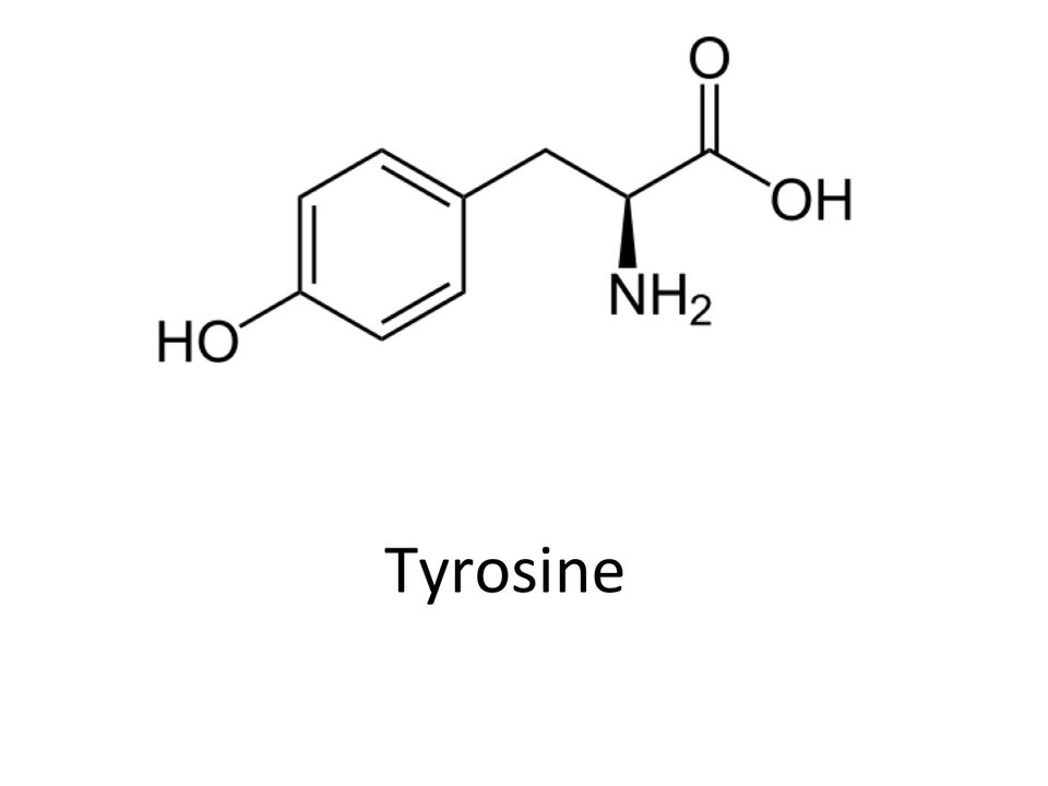 Tyrozyna w ABSlim